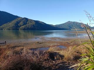 Marlborough Sounds Accommodation 792 - 1