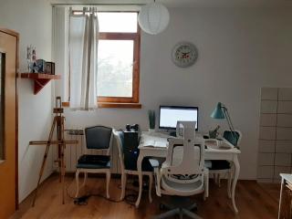 Lovely bright Apartment with Backyard-renovated! - 2