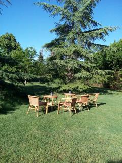 Villa Poggio al Sole Bio Agriturismo private pool - San Rocco a Pilli - 2