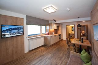 Appartements Alpin - Saalbach-Hinterglemm - 2