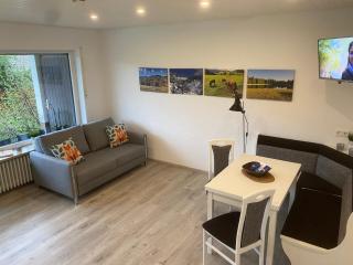 Haus am Sonnenberg,Todtnauberg, Ferienwohnung 002, direkt am Skilift-Skipiste, Nähe Feldberg - Todtnauberg - 9