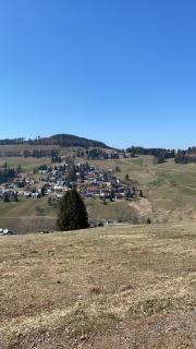 Haus am Sonnenberg,Todtnauberg, Ferienwohnung 002, direkt am Skilift-Skipiste, Nähe Feldberg - Todtnauberg - 1