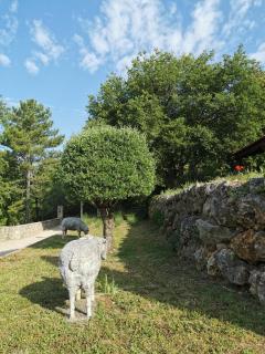 Domaine GEODORA, Parfumeur en Provence - Montauroux - 6
