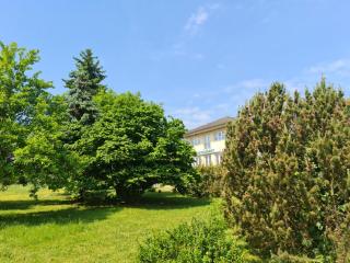 Hotel Restaurant Am Worns Berg - Broock - 6