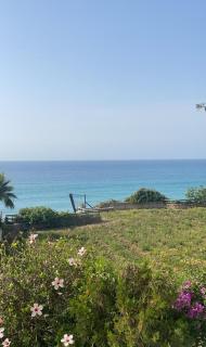Apartamentos Balcon de Carabeo - Nerja - 3