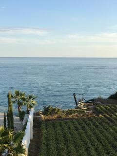 Apartamentos Balcon de Carabeo - Nerja - 1