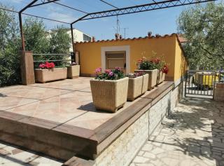 Apartman Ema - Pula - 7