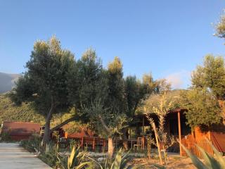 Violet Village - Borsh - 3