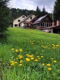 Pensiunea Zorile Tarcaului - 8