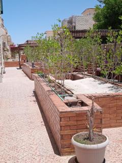 6B Basement chalet 114 4 beds 2 bathrooms on the pool green beach - El Alamein - 3