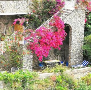 Villa Positano Stella del mare - Positano - 6