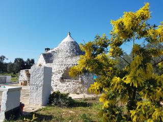 Trullo magico - 0