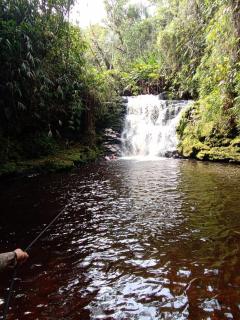 Hotel Campestre La Fuente - Piscina - 4