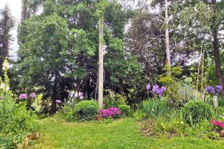B&B Appartamento - IL RIONE - Loreto Aprutino - 5