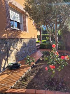Casa de campo Aires de Gredos - Candeleda - 5