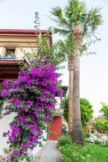 Portakal Hotel Dalyan - Dalyan - 1