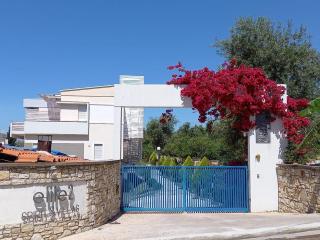 Stella Marina Family Apartment 2 - Dhërmi - 0