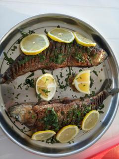 Camping Danubius Tulcea - 3