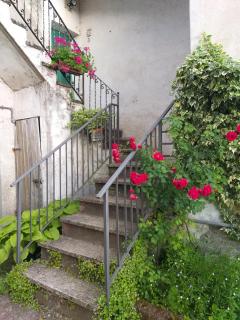 la punta dei crociati - Parodi Ligure - 8