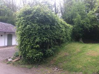 Idyllic Location, Stunning Views, Relax Refresh in Peace Comfort - 5