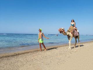 Lazuli Hotel, Marsa Alam - 4