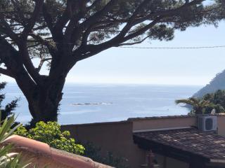 Villa Lilause - Hyères - 3