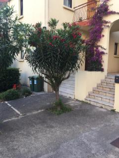 Apartman-Fenix - Šušanj - 9