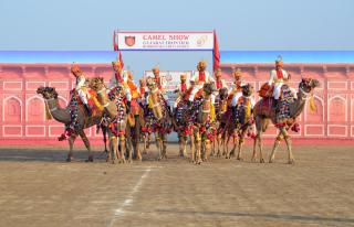 Praveg White Rann Resort Rann Utsav Dhordo - 1