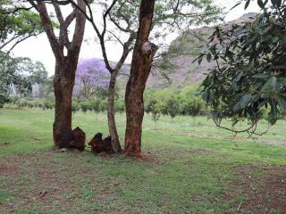 Goederus Guest Farm - 6