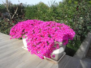 La Dimora di Ntò - 7