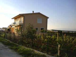 Holiday apartment in Privlaka with sea view, balcony, air conditioning, W-LAN 667-1 - 8
