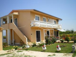 Holiday apartment in Privlaka with sea view, balcony, air conditioning, W-LAN 667-1 - 6