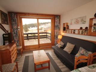 Studio cabine avec terrasse et vue dégagée sur les montagnes à Hauteluce - FR-1-293-15 - Les Saisies - 1