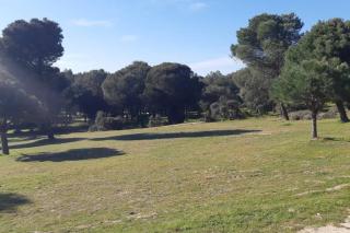Independent little house - Majadahonda - 8