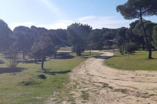 Independent little house - Majadahonda - 4