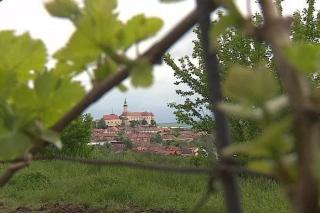 Ubytování De Donawitz - Dolní Dunajovice - 8