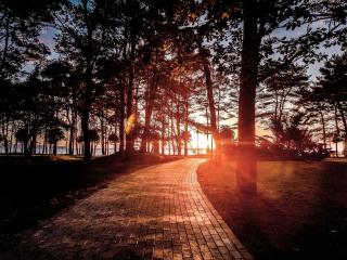 IFA Rügen Hotel & Ferienpark - Binz - 3