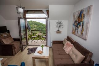 Apartments View Dvori E25 - Kopaonik - 2