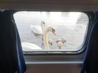 Hotelboat Iris - Amsterdam - 1