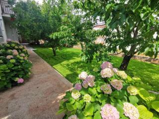 Apartment Adriana - Seget Vranjica - 8
