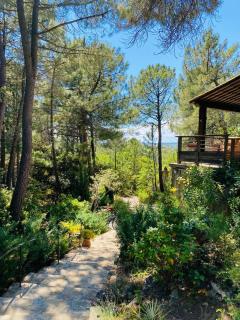 Lou Paradou Lodge - Grillon - 4