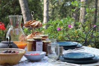Lou Paradou Lodge - Grillon - 3