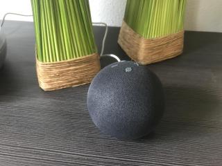 Ferienwohnung an der idyllischen Salzachschleife Nähe Salzburg - Laufen - 1