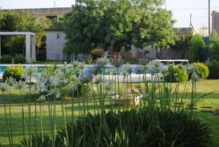 Villa Attico 44 - Bagnolo del Salento - 4