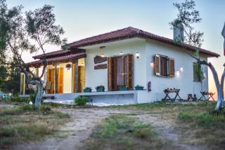 Vast Emerald, the only house in Kavourotrypes - Sarti - 0