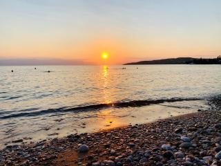 Roxanne's Olive Grove House - 4