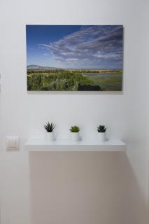 SANT MORI 9 1-F - Empuriabrava - 6