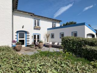 Family Villa behind the Beach - Zandvoort - 4