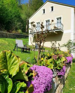 Hotel Garni Dekorahaus - Bad Schandau - 7