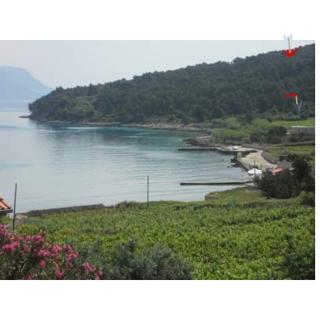 House Lumbarda (876) - Lumbarda - 9